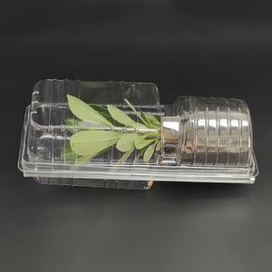 定制PET塑料吸塑活植物车苗花盆运输保护吸塑盒 - Product Image 1