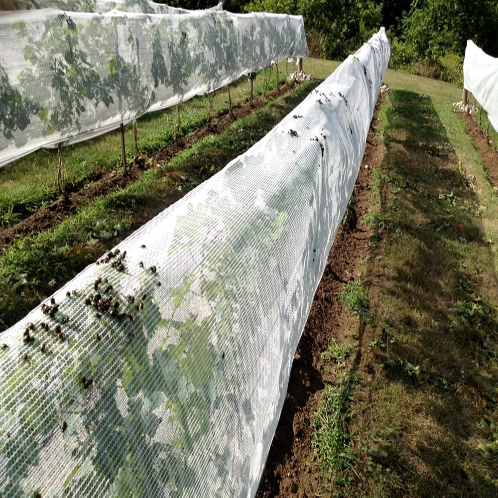 Net Net Agricultural Anti Insect Proof Plastic Net