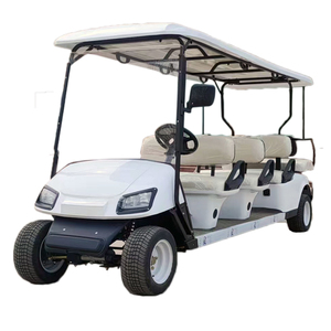 Carrito de golf eléctrico de lujo personalizado todo terreno - Product Image 1