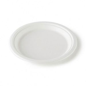 Assiettes jetables biodégradables en bagasse de canne à sucre, emballage en boîte de papier blanc, vaisselle de fête - Product Image 1