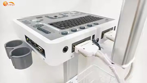 SUN-810D B & W macchina ad ultrasuoni medico di diagnostica per immagini Trolley 3D Scanner ad ultrasuoni per animali domestici - Product Image 2