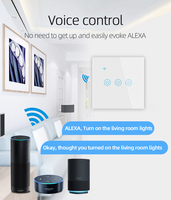 TYSH Eu 1 Gang Télécommande Touch Matter Smart Home Device Wifi Wall Timer Voice Smart Home Switch Compatible avec Alexa