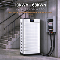 Sistem Penyimpanan Energi Baterai LiFePO4 Kapasitas Besar 63kWh, Terpasang di Rak, 6000 Siklus, Aman, Efisiensi Tinggi, untuk Hunian