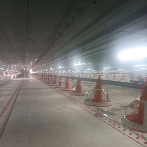 Nuevo Modelo PH-C01 PH Comedero para Aves de Corral, Línea de Alimentación con Tornillo Sin Fin, Equipo de Alimentación Automática - Product Image 2