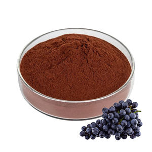 純粋なブドウ種子エキス粉末95% OPCプロシアニジン食品グレード - Product Image 1