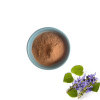 Produit Populaire : Extrait de Coleus Forskohlii 100% Naturel, Poudre d'Extrait de Coleus Forskohlii, Poudre de Forskolin à 20%