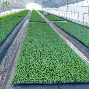 Bandeja de Plástico Redonda para Germinación de Semillas, 50, 72, 105, 128, 200 Celdas, Venta al por Mayor para Germinación de Semillas de Vegetales y Flores - Product Image 3