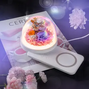 Penguin Cosmonaut Table Lamps Dimming Wireless Charging Music Lamp Decoration Preserved Flower Night Light