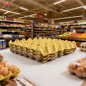 Vassoi per Uova Biodegradabili Usa e Getta, Confezioni Colorate per 30 Uova, Campione Gratuito - Product Image 1