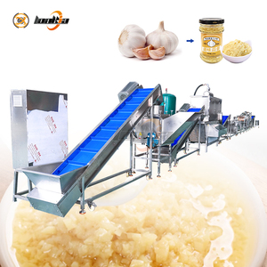 Ligne de production de pâte <span class=keywords><strong>d</strong></span>'<span class=keywords><strong>ail</strong></span> entièrement automatique de petite taille, 400 <span class=keywords><strong>kg</strong></span>/heure, <span class=keywords><strong>prix</strong></span> usine, pour la transformation de l'<span class=keywords><strong>ail</strong></span> - Product Image 5
