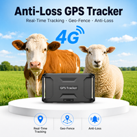 Traceur GPS pour bétail, résistant aux vibrations, autonomie de 1 an, géolocalisation et gestion des troupeaux, traceur de bétail