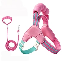 Harnais respirant pour animaux de compagnie avec sangle dorsale, laisse pour chiens et chats, pour petits chiens, vente en gros