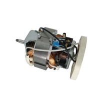 Mélangeur de hachoir à viande universel monophasé à grande vitesse 210V 300W avec moteur à courant alternatif industriel micro personnalisé certifié 7015 CCC