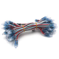 Étanche IP68 couleur DC5V 12V Ucs1903 Ws2811 Led Point Pixel Module 12mm RGB LED guirlandes lumineuses publicité noël