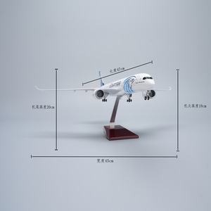 Modelo de Avión Egypt 350 A350 de 47 cm 1/142 en Oferta, con Luz, Decoración de Avión, Regalo Promocional Empresarial, Venta de Fábrica - Product Image 3