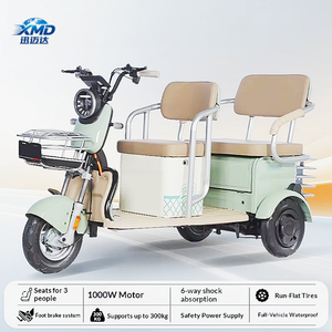 Triciclo Eléctrico Casual de Exportación <span class=keywords><strong>para</strong></span> Comercio Exterior, <span class=keywords><strong>Scooter</strong></span> de <span class=keywords><strong>Movilidad</strong></span> <span class=keywords><strong>para</strong></span> Mayores, Alta Potencia, 300-400kg, 30km/h, 30km - Product Image 3