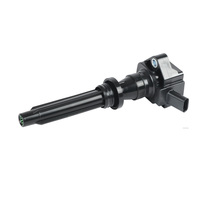 Auto Engine Parts for Jagaur Land Rover 3.0 Ignition Coil DX23-12A366-AC
