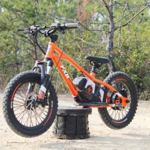 BMX Toddler 12 16 Inch Wheel Park Road Pump Track Race Cycle <strong>Girl</strong> Boy Baby Child Children Kids Balance <strong>Bike</strong> Electric - Product Image 1