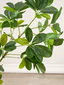 Venta al por mayor PE PVC plantas artificiales decorativas Schefflera <span class=keywords><strong>arboricola</strong></span> árboles para la decoración interior y exterior - Product Image 2