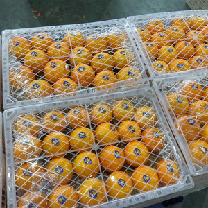 Nueva cosecha de fruta fresca de naranjas mandarinas de ombligo chino para venta al por mayor - Product Image 3