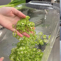 Elektrische kleine chili ring snijmachine, groene Chinese ui en okra ring snijmachine te koop