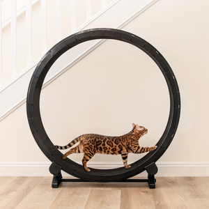 Ruota per Gatti Silenziosa Tapis Roulant per Esercizio Domestico Gioco Interattivo per Animali Domestici - Product Image 1