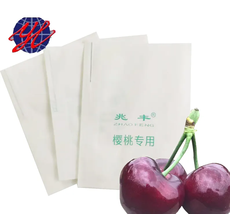 Chile Cherry Protection Paper Bag to Prevent Birds Insects Fruit Growing Paper Bag for Cherry