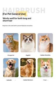 Meilleur peigne de toilettage massant pour chiens et chats, <span class=keywords><strong>tondeuse</strong></span> à poils pour animaux, peigne à aiguilles, outils de toilettage pour animaux en acier inoxydable - Product Image 5