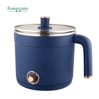 Pot électrique portable personnalisé de 1,5 L Pot chauffant pour cuisinière électrique multifonction pour auberge