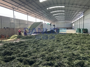 Secador de cinta de malla para forraje de gran modelo, equipo de secado de pasto, línea de secado de alfalfa, horno deshidratador de forraje - Product Image 6