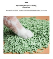 Litière pour chat en amidon de manioc de qualité supérieure, écologique, sans poussière, hautement absorbante, contrôle des odeurs, biodégradable, litière pour chat en tofu en vrac