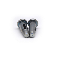 16*50 Hollow and 16*52 Solid Stub Steel Fasteners with Zinc Plating Bagged Package