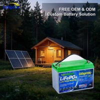 Batería de Litio de Ciclo Profundo 12.8V 200AH Grado A LiFePO4 con Calefacción para Almacenamiento Doméstico, BMS Inteligente, RS485, Conector Anderson, CE, RoHS, IP67, OEM, ODM