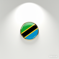 GREPAS GIFTS Épinglette drapeau de la Tanzanie ronde de 1 pouce, épinglette patriotique pour chapeau, épinglette de pays du monde