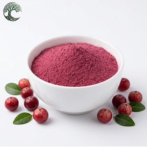 Polvere di Succo di Mirtillo Rosso Naturale OEM con Etichetta Privata, Solubile in Acqua, Polvere di Mirtillo Rosso Istantanea, Vendita all'Ingrosso, 100% Pura - Product Image 1