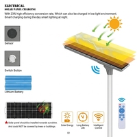 Lampadaire solaire tout-en-un 15000 lumens avec télécommande et minuterie, certifié CE RoHS FCC pour projets municipaux