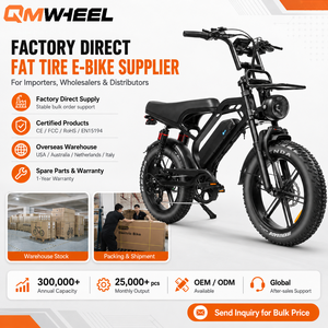 Bicicleta eléctrica QMWHEEL V20 Limited 48V, bicicleta eléctrica urbana, bicicleta eléctrica con batería de litio, bicicleta eléctrica todoterreno para almacén en la UE, B2B - Product Image 1