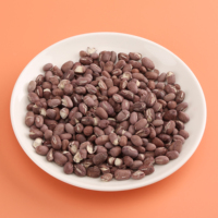 Guoyue Frijoles cocidos liofilizados a granel para comidas Gefriergetrocknete rote Bohne lyofilizovane Vegetales Frijoles rojos liofilizados