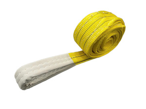 Prix d'usine 1t 2t 3t 4t 5t 6t 8t 10t Sangle Sling 100% Polyester Durable pour le levage - Product Image 3