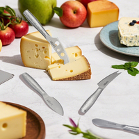 Couteau à fromage portable Junqin en acier inoxydable pour étaler le beurre à la vanille et les sauces, modèle CP-8809, matériau métallique