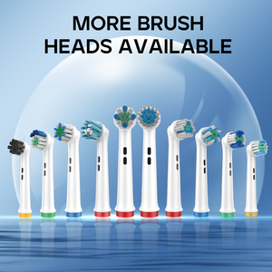 SEAGO Nuevo Cepillo de Dientes Eléctrico Giratorio Recargable Tipo-C con 8 Cabezales Rotatorios OEM al por Mayor, 5 Modos para Adultos SG-2603 - Product Image 2