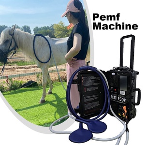เครื่อง PEMF กำลังสูงสำหรับม้า เพื่อผ่อนคลายกล้ามเนื้อที่ตึง และเพิ่มความยืดหยุ่นและความคล่องตัวของข้อต่อ - Product Image 1