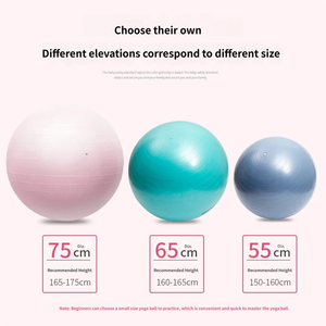 Ballon de Yoga et de Fitness Épais Certifié Multi-Tests, 65 cm, Robuste, pour Accouchement et Pilates, Soin Pré-Natal et Enfants - Vente en Gros - Product Image 1