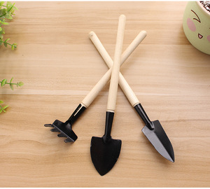 Classico Mini Kit <span class=keywords><strong>di</strong></span> attrezzi <span class=keywords><strong>da</strong></span> <span class=keywords><strong>giardino</strong></span> in legno per uso domestico coltivazione ortaggi frutta <span class=keywords><strong>fiori</strong></span> in vaso <span class=keywords><strong>semi</strong></span> con elegante scatola <span class=keywords><strong>di</strong></span> legno - Product Image 6