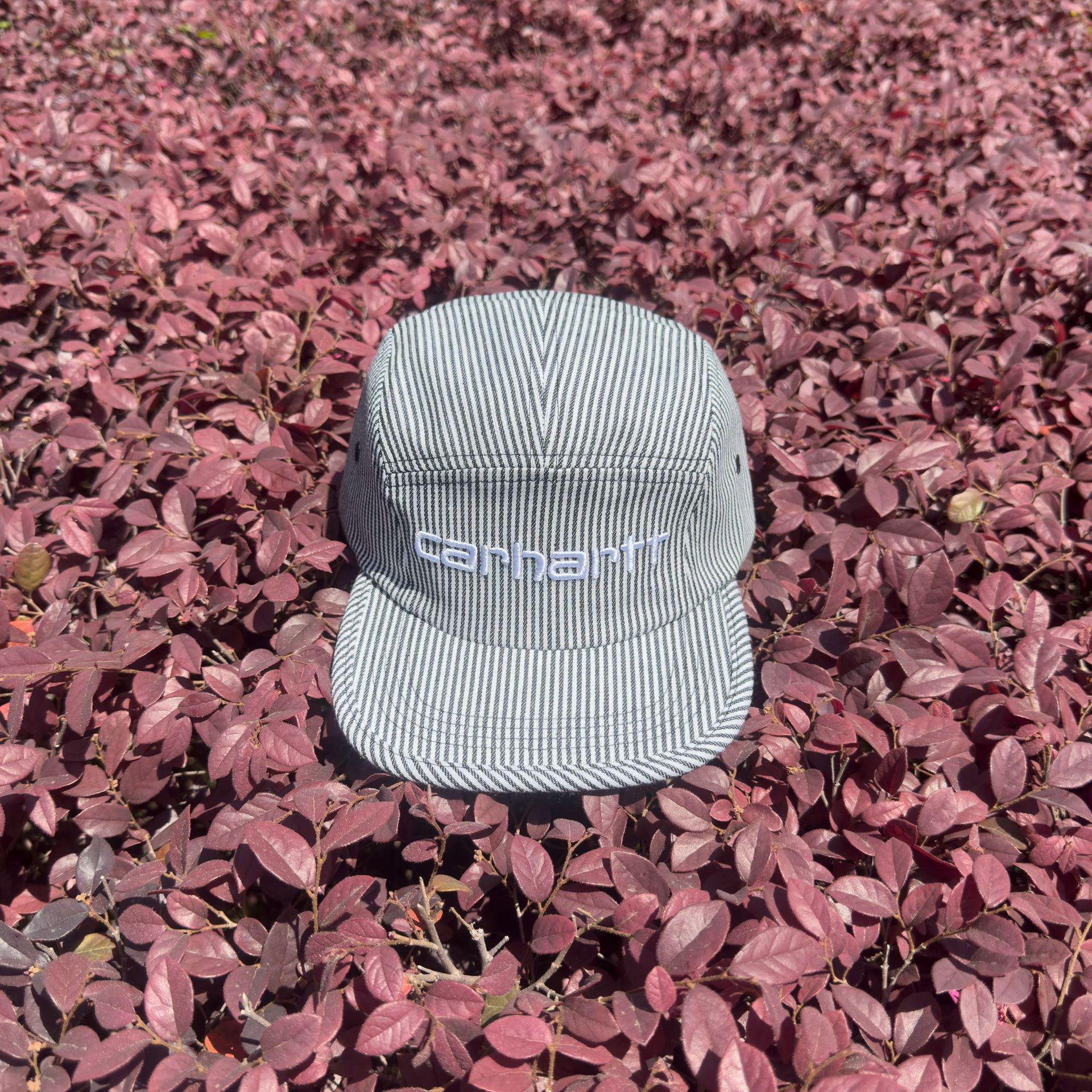 Carhartt-bordado blanco sobre negro