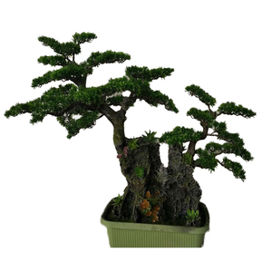 <span class=keywords><strong>Vendita</strong></span> di <span class=keywords><strong>piante</strong></span> verdi in plastica verde in fibra di vetro per interni Mini albero di pino artificiale sostenibile eco-friendly 110cm - Product Image 1