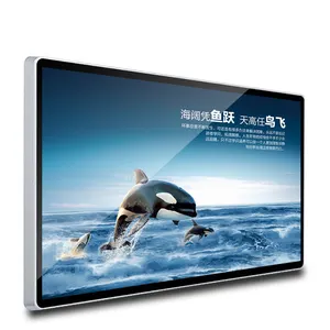 Painel de publicidade do leitor de anúncios com tela de toque, display de publicidade interna de 55 polegadas com sistema android/janela