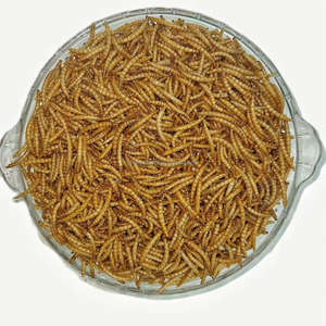 หนอนนกอบแห้งแบบเป็นก้อน อาหารปลาสำหรับปลาเบต้าฟลาวเวอร์ฮอร์น - Product Image 4