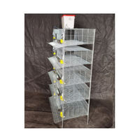 10000 conception de cage à oiseaux de caille pour ferme de caille Cage d'élevage de cailles portable à 6 niveaux avec plateau à fumier Abreuvoir en plastique