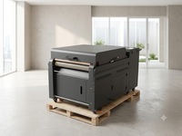 Machine de séchage automatique DTF 60 cm avec purificateur de fumée intégré et recyclage de poudre TPU pour l'impression DTF